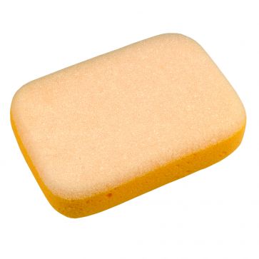 DUAL PURPOSE SPONGE